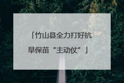 竹山县全力打好抗旱保苗“主动仗”