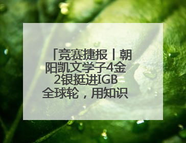 竞赛捷报丨朝阳凯文学子4金2银挺进IGB全球轮，用知识回应地球之问