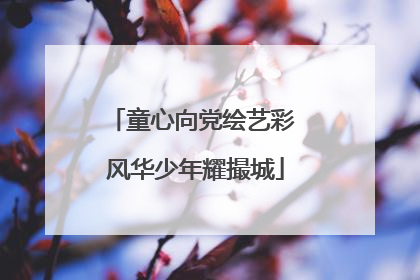 童心向党绘艺彩 风华少年耀撮城