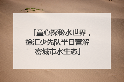 童心探秘水世界，徐汇少先队半日营解密城市水生态