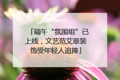 端午“氛围组”已上线，文艺范艾草装饰受年轻人追捧