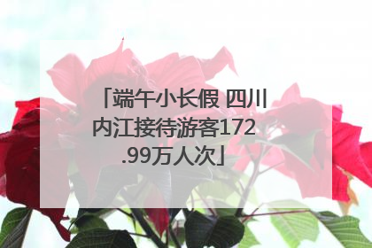 端午小长假 四川内江接待游客172.99万人次