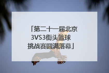 第二十一届北京3VS3街头篮球挑战赛圆满落幕