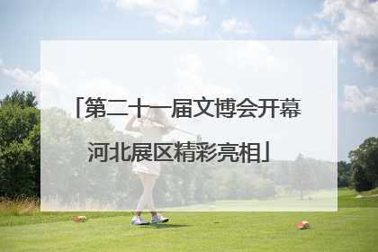 第二十一届文博会开幕 河北展区精彩亮相