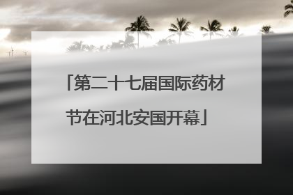第二十七届国际药材节在河北安国开幕