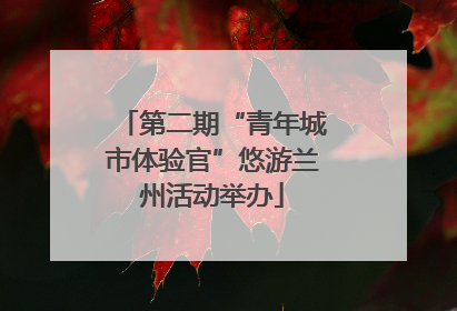 第二期“青年城市体验官”悠游兰州活动举办
