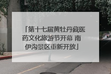 第十七届黄牡丹藏医药文化旅游节开幕 南伊沟景区重新开放