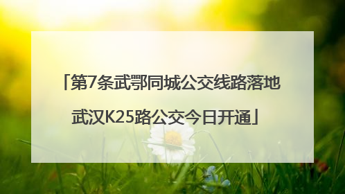 第7条武鄂同城公交线路落地 武汉K25路公交今日开通