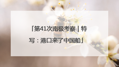第41次南极考察｜特写：港口来了中国船