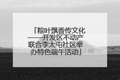 粽叶飘香传文化——开发区不动产联合李太屯社区举办特色端午活动