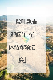 粽叶飘香迎端午 军休情深颂清廉