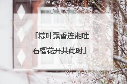 粽叶飘香连湘吐 石榴花开共此时