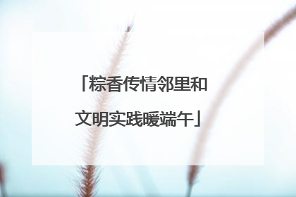 粽香传情邻里和 文明实践暖端午