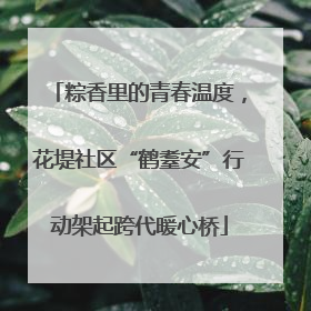 粽香里的青春温度,花堤社区“鹤耋安”行动架起跨代暖心桥