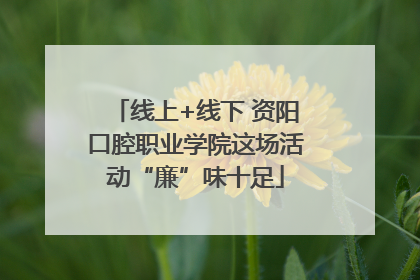 线上+线下 资阳口腔职业学院这场活动“廉”味十足