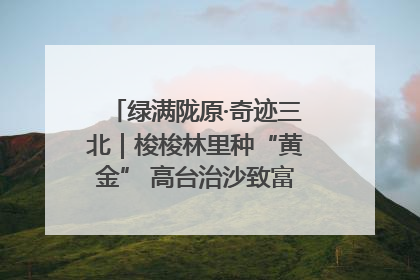 绿满陇原·奇迹三北｜梭梭林里种“黄金” 高台治沙致富很“从容”