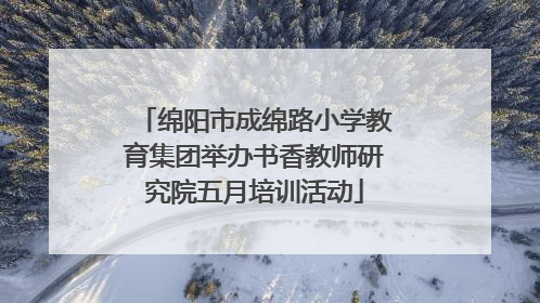 绵阳市成绵路小学教育集团举办书香教师研究院五月培训活动