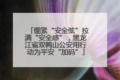 绷紧“安全弦”拉满“安全感”，黑龙江省双鸭山公安用行动为平安“加码”