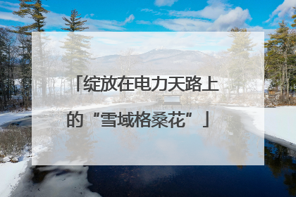 绽放在电力天路上的“雪域格桑花”