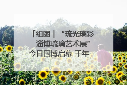 组图｜“琉光璃彩—淄博琉璃艺术展”今日国博启幕 千年窑火绽放京城