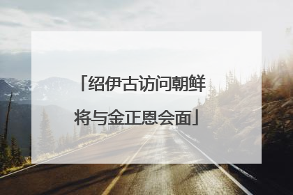 绍伊古访问朝鲜 将与金正恩会面