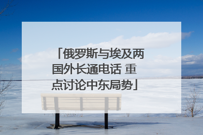 俄罗斯与埃及两国外长通电话 重点讨论中东局势