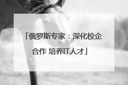 俄罗斯专家：深化校企合作 培养IT人才