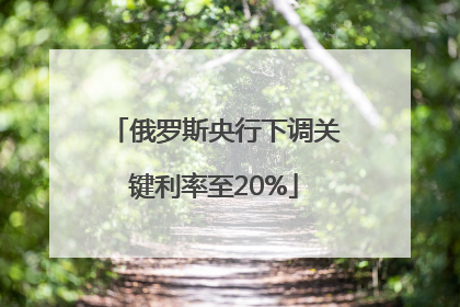 俄罗斯央行下调关键利率至20%