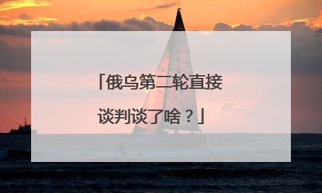 俄乌第二轮直接谈判谈了啥？