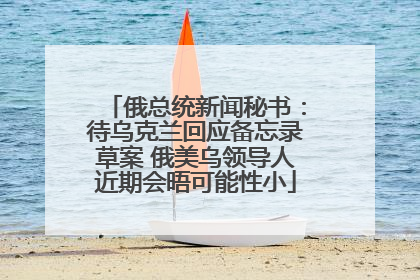 俄总统新闻秘书：待乌克兰回应备忘录草案 俄美乌领导人近期会晤可能性小