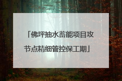 佛坪抽水蓄能项目攻节点精细管控保工期