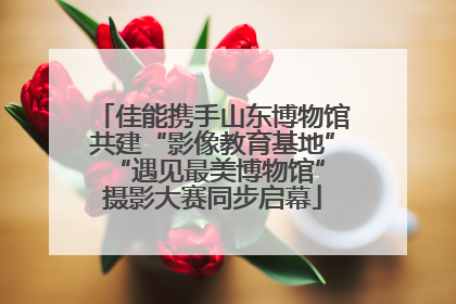 佳能携手山东博物馆共建“影像教育基地” “遇见最美博物馆”摄影大赛同步启幕