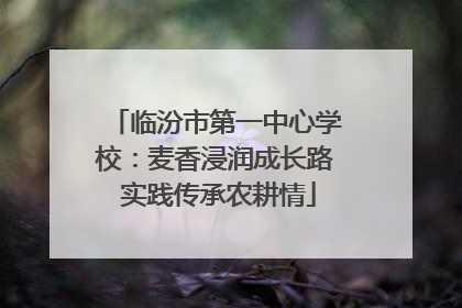 临汾市第一中心学校：麦香浸润成长路 实践传承农耕情