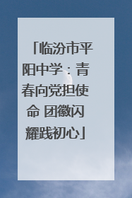 临汾市平阳中学：青春向党担使命 团徽闪耀践初心