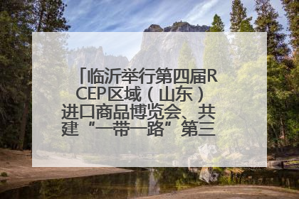 临沂举行第四届RCEP区域（山东）进口商品博览会、共建“一带一路”第三届临沂商城国际采购商大会新闻发布会