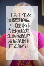 为千年农遗保驾护航！《丽水市青田稻鱼共生系统保护发展条例》正式施行