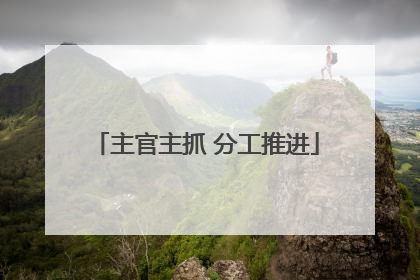 主官主抓 分工推进