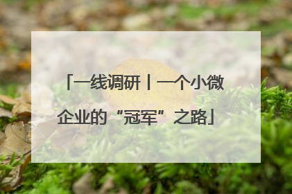 一线调研丨一个小微企业的“冠军”之路