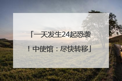 一天发生24起恐袭！中使馆：尽快转移