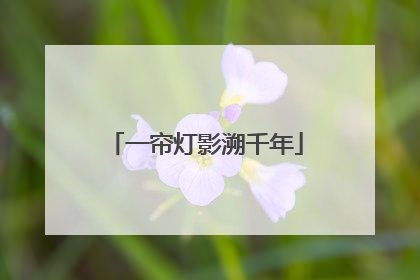 一帘灯影溯千年