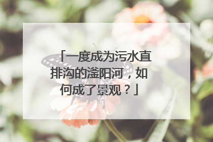 一度成为污水直排沟的滏阳河，如何成了景观？