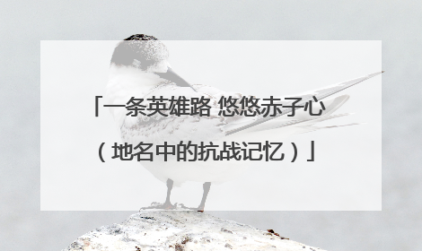 一条英雄路 悠悠赤子心（地名中的抗战记忆）