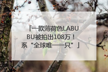 一款薄荷色LABUBU被拍出108万！系“全球唯一一只”