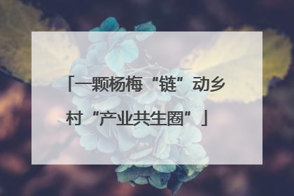 一颗杨梅“链”动乡村“产业共生圈”