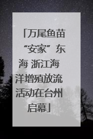 万尾鱼苗“安家”东海 浙江海洋增殖放流活动在台州启幕