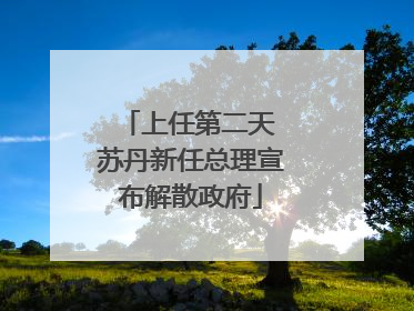 上任第二天 苏丹新任总理宣布解散政府