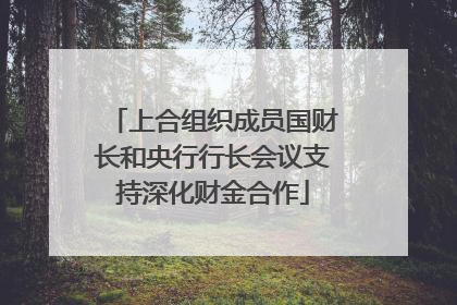 上合组织成员国财长和央行行长会议支持深化财金合作