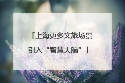 上海更多文旅场景引入“智慧大脑”