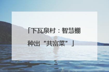下瓦泉村：智慧棚种出“共富菜”