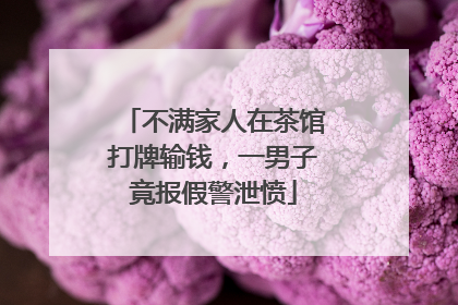不满家人在茶馆打牌输钱，一男子竟报假警泄愤